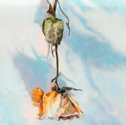 018-Marchand-You-are-so-beautiful-4-web