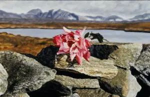 Marchand-Last-Rose-1