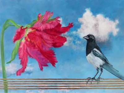 A Playful Day image of smiling magpie facing a red parrot tulip against a bright almost cloudless sky available for purchase at laureenmarchand.com