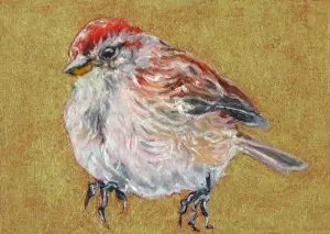 Small Wonders Tree Sparrow No Tree by Laureen Marchand miniature oil painting 2.5" x 3.5" ecological climate change art