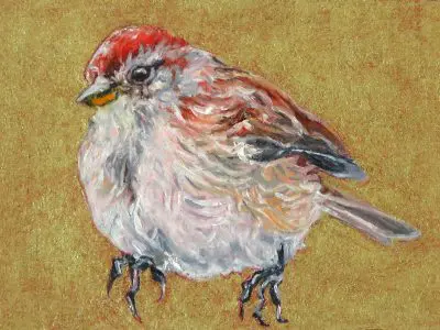 Small Wonders Tree Sparrow No Tree by Laureen Marchand miniature oil painting 2.5" x 3.5" ecological climate change art
