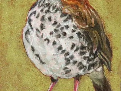 Small Wonders Imperious Thrush by Laureen Marchand miniature oil painting 3.5" x 2.5" ecological climate change art