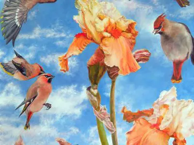 Laureen Marchand How to Watch for the Sunrise waxwings bird painting available for purchase from laureenmarchand.com with worldwide shipping