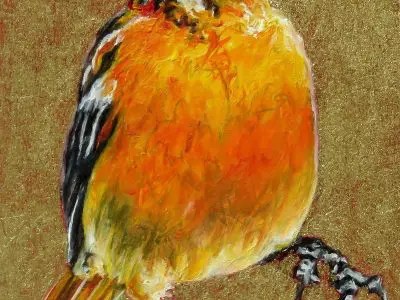 Small Wonders Baltimore Oriole Lady's Choice by Laureen Marchand climate change art bird painting available for purchase from laureenmarchand.com with worldwide shipping