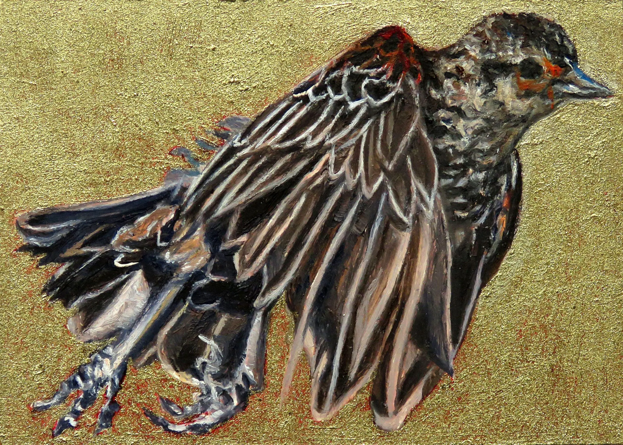 Laureen Marchand redwinged Blackbird female climate change art bird painting available for purchase from laureenmarchand.com with worldwide shipping