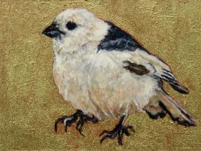 Laureen Marchand Snow Bunting climate change art bird painting available for purchase from laureenmarchand.com with worldwide shipping