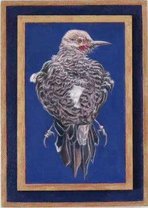 Free Flight Brown Thrasher by Laureen Marchand climate art bird oil painting forshortened