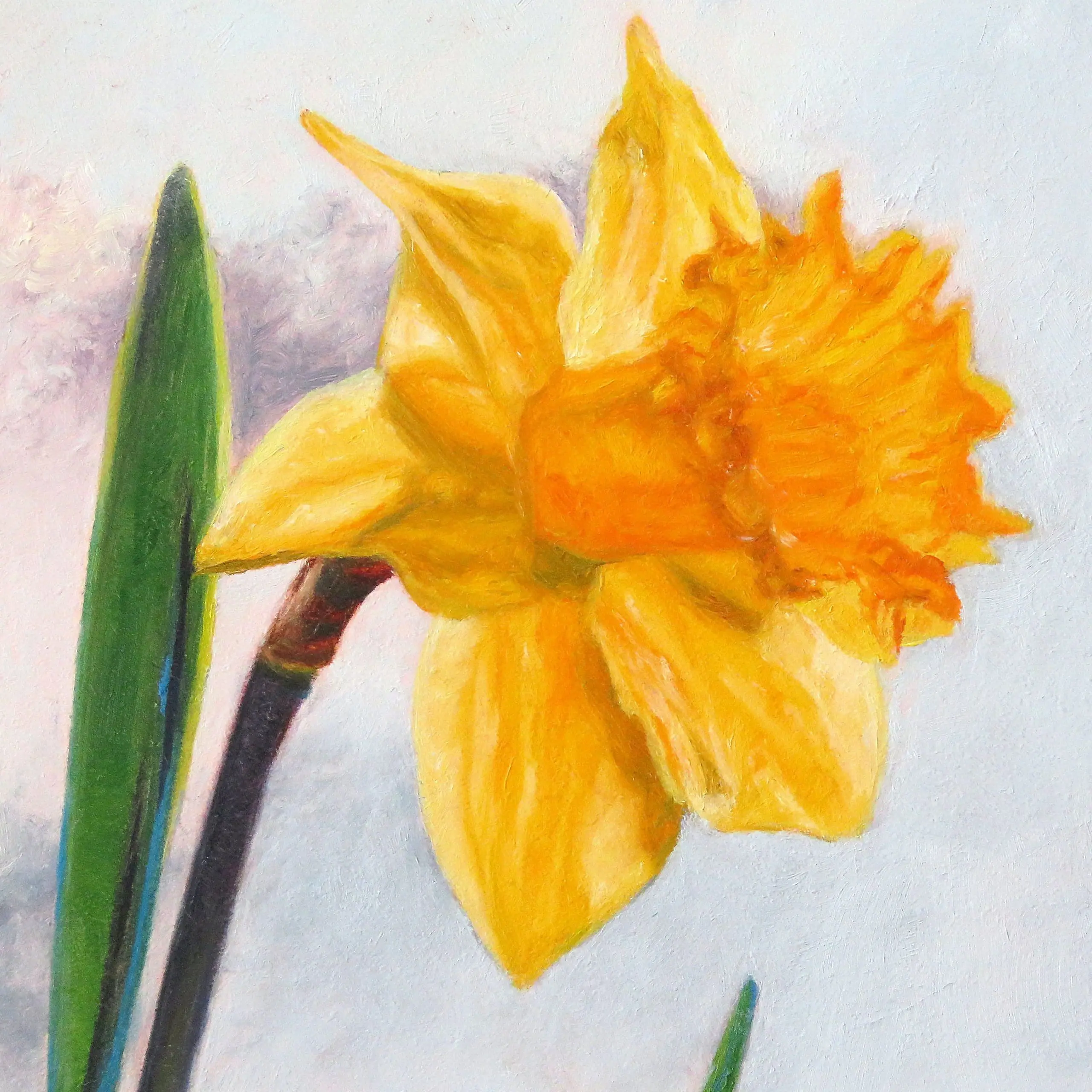 Morning Star - Image 4
