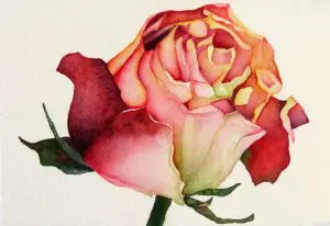 Paper Roses 1