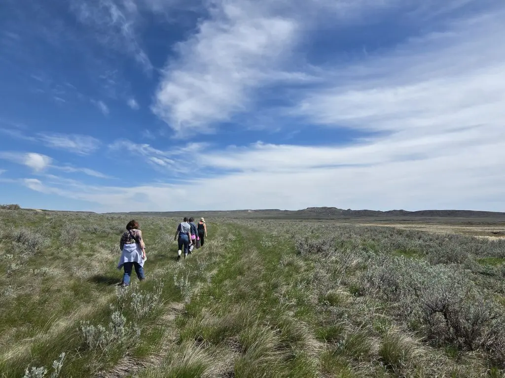 Past Grasslands acrylics and oils painting workshops featuring participants during inspirational walk