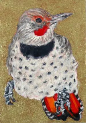 Full Colour Flicker by Laureen Marchand by Laureen Marchand bright plumage drumming bird climate change art