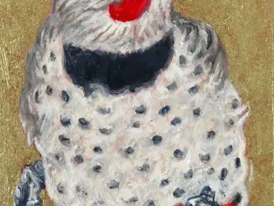 Full Colour Flicker by Laureen Marchand by Laureen Marchand bright plumage drumming bird climate change art