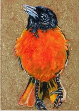 Oriole Considers the Meaning by Laureen Marchand miniature oil painting on panel joyful bird climate change art
