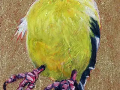 Somebody's Goldfinch by Laureen Marchand miniature oil painting on panel bright yellow smiling bird climate change art