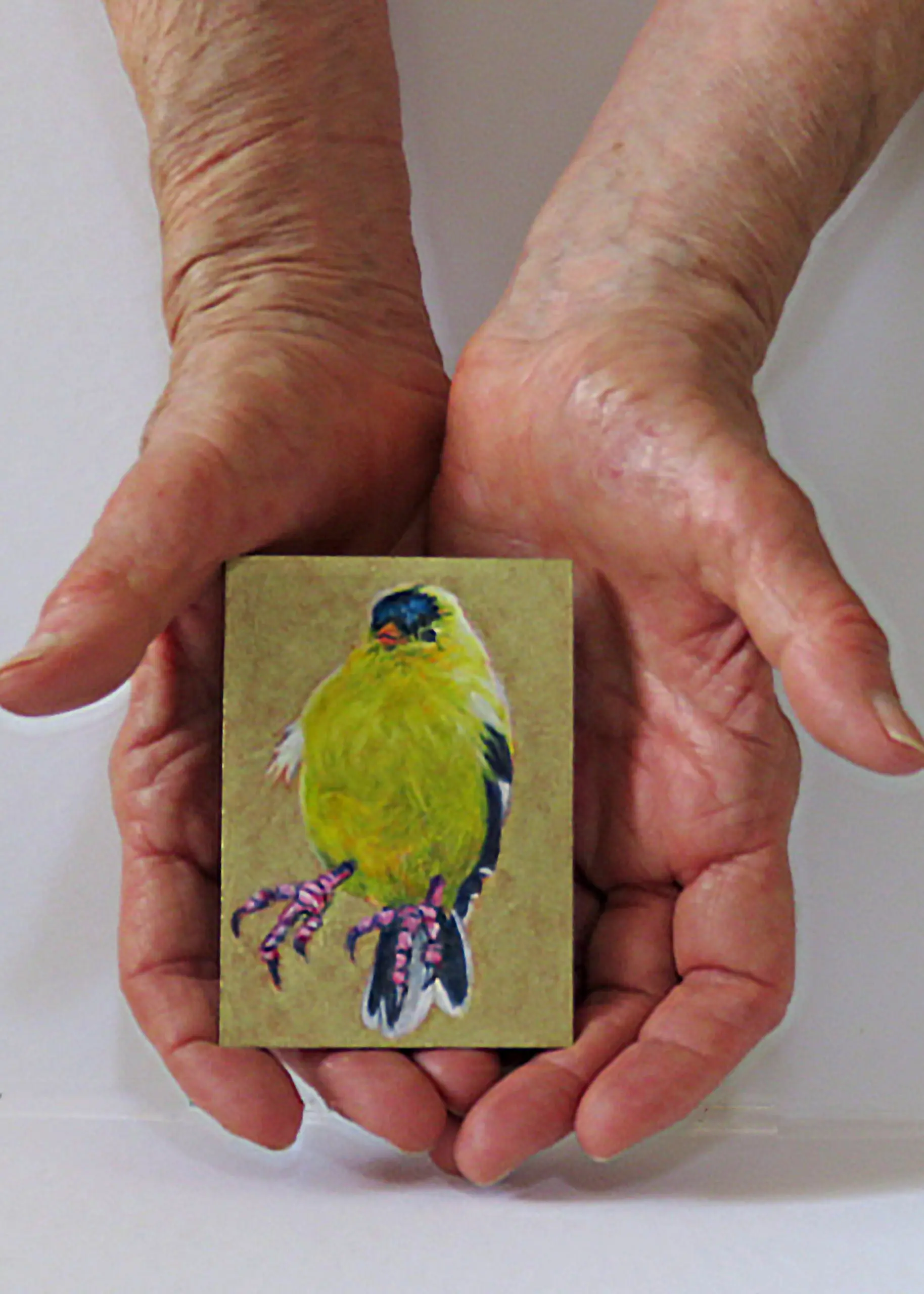Small Wonders: Somebody's Goldfinch - Image 3