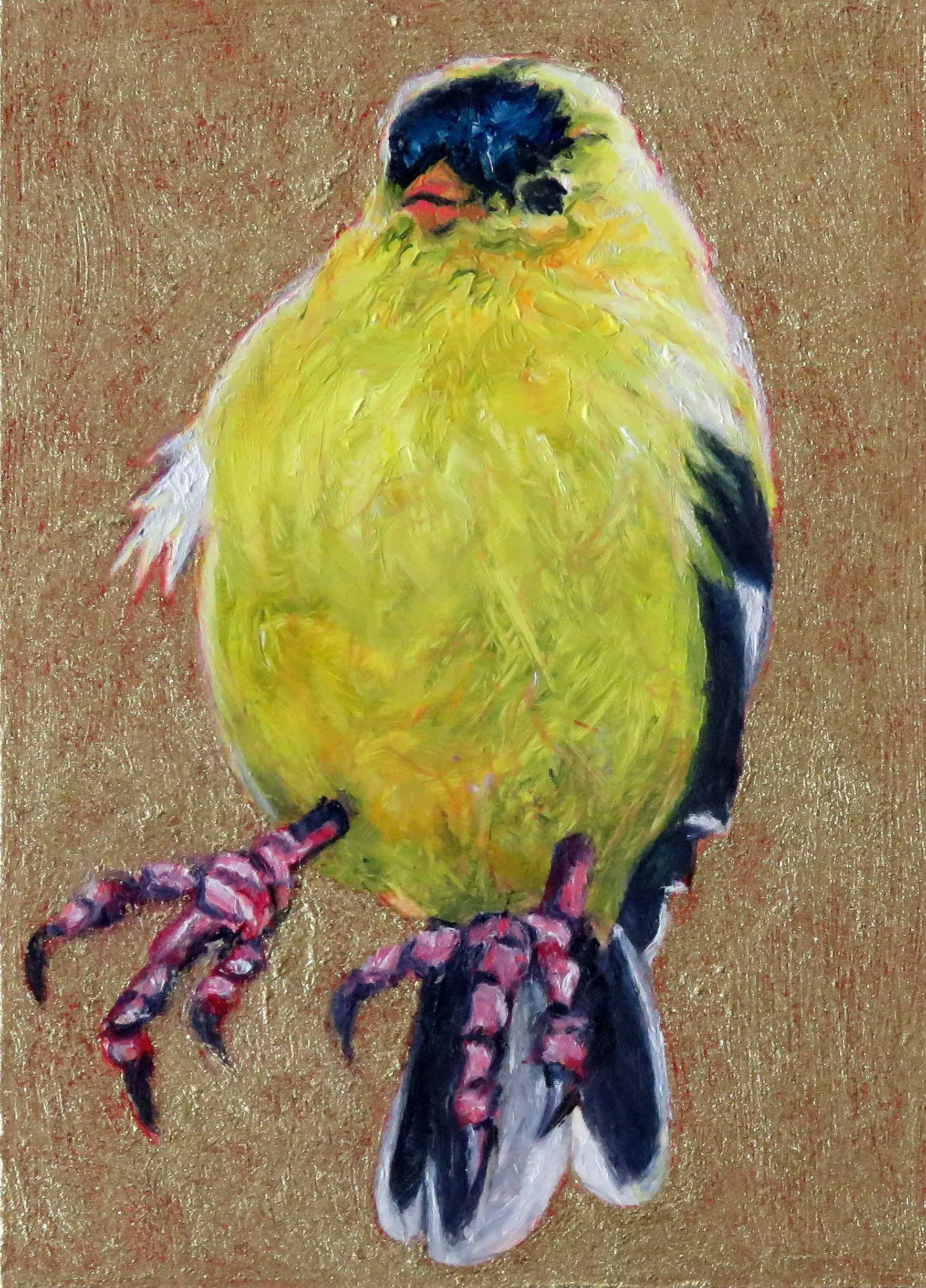 Somebody's Goldfinch by Laureen Marchand miniature oil painting on panel bright yellow smiling bird climate change art