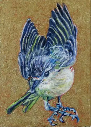 Warbling Vireo Takes a Bow by Laureen Marchand small singing bird climate change art