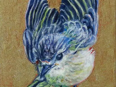 Warbling Vireo Takes a Bow by Laureen Marchand small singing bird climate change art