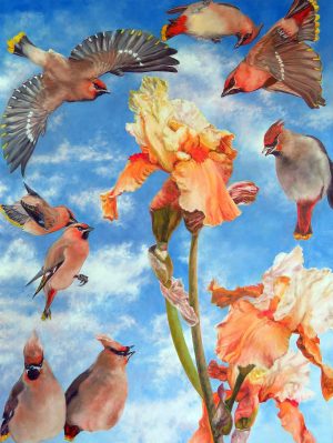 Laureen Marchand How to Watch for the Sunrise waxwings bird painting available for purchase from laureenmarchand.com with worldwide shipping