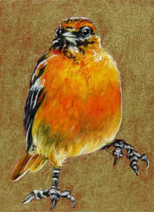Small Wonders Baltimore Oriole Lady's Choice by Laureen Marchand climate change art bird painting available for purchase from laureenmarchand.com with worldwide shipping