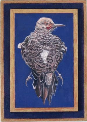 Free Flight Brown Thrasher by Laureen Marchand climate art bird oil painting forshortened