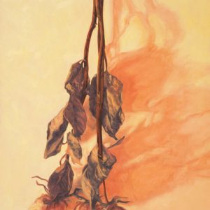 <i>Kate's Roses</i> Marchand-Kates-Roses Available