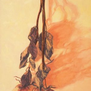 <i>Kate's Roses</i> Marchand-Kates-Roses Available