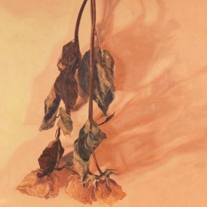 <i>Anniversary</i> Marchand-Anniversary Available