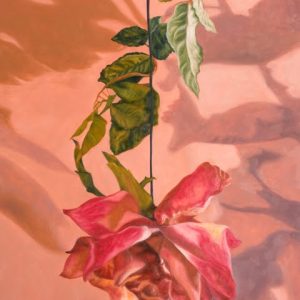 <i>Immaculate</i> Marchand-Immaculate