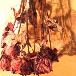 <i>Another Winter's Roses 2</i> d-Marchand-Another-Winters-Roses-2