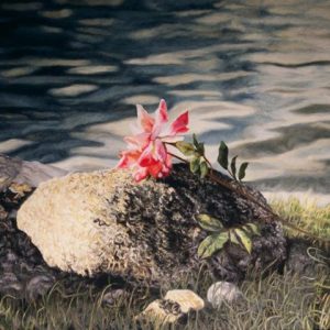 <i>Last Rose 5</i> a-Marchand-Last-Rose-5