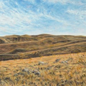 <i>Weather Changing, Grasslands National Park</i>