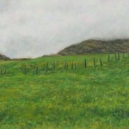 <i>Fog and Two Cows, Gurteen</i>