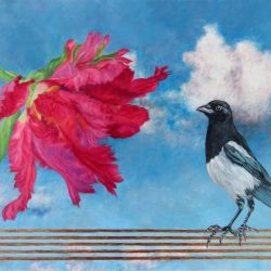 <i>A Playful Day</i> A Playful Day image of smiling magpie facing a red parrot tulip against a bright almost cloudless sky