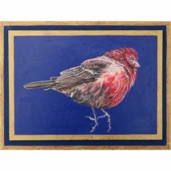 <i>Free Flight: Finch Floating</i>