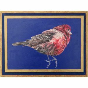 <i>Free Flight: Finch Floating</i>