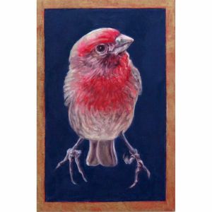 <i>Free Flight: House Finch</i>