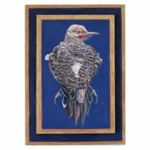 <i>Free Flight: Brown Thrasher</i>