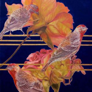 <i>How to Never Fade</i>