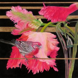 <i>Modern Love</i> Modern Love by Laureen Marchand bird art oil painting of house finch singing to pink Parrot tulip