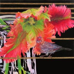 <i>Various Miracles</i>