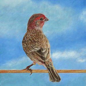 <i>Skywatch</i>