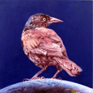 <i>World Without End: Grackle Gleaming</i>