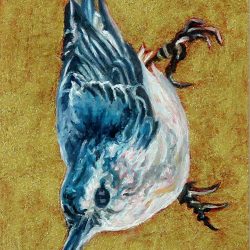 <i>Small Wonders: Nuthatch Upside</i>