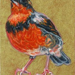 <i>Small Wonders: Varied Thrush</i> Small Wonders Varied Thrush by Laureen Marchand miniature oil painting 2.5" x 3.5" ecological climate change art