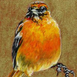 <i>Small Wonders: Baltimore Oriole Ballet - Lady's Choice</i> Laureen Marchand Baltimore Oriole climate change art bird painting available for purchase from laureenmarchand.com with worldwide shipping