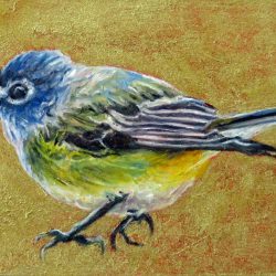<i>Small Wonders: Blue Vireo</i>
