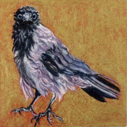 <i>Small Wonders: Crows Remember Kindness</i>