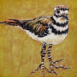 <i>Small Wonders: Vociferous in Striped Socks</i>