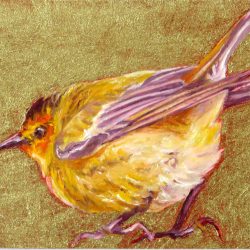 <i>Small Wonders: Warbler</i>